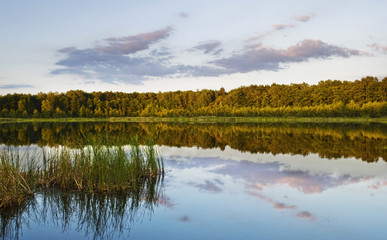 Summer lake on the countryside