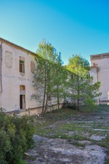 Fototapeta premium Trees are slowly taking over a boarded up, abandoned building in southern Spain