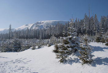 Winter in mountains, snow sun, Canada