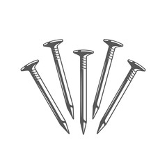 Nails isolated on white background