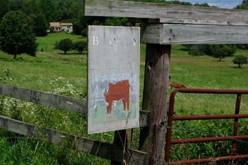 Faded cow farm sign and fence and gate upstate in West Stockbridge, Berkshires, Massachusetts 
