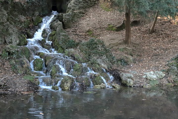 Parco pubblico di Monza città in Italia, Public park in monza city in Italy