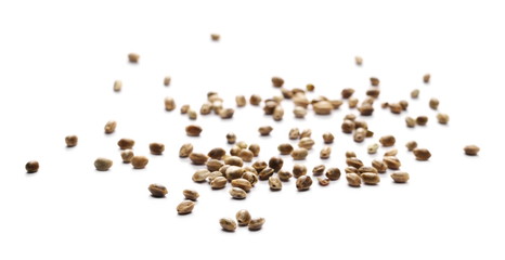 Hemp seeds isolated on white background