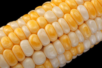 Corn vegatable closeup background