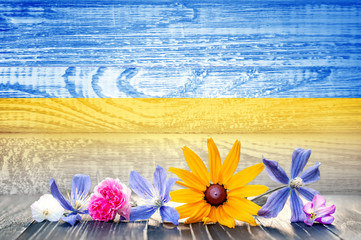 Fototapeta premium Grunge flag of Ukraine with wildflowers. Wooden texture. Background for design and text.