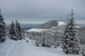 Beskid Żywiecki 2019