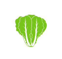 Romaine lettuce. Isolated lettuce on white background. Logo - obrazy, fototapety, plakaty