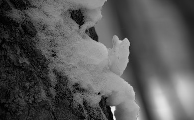 (C)Pantick        Pavel Burkov