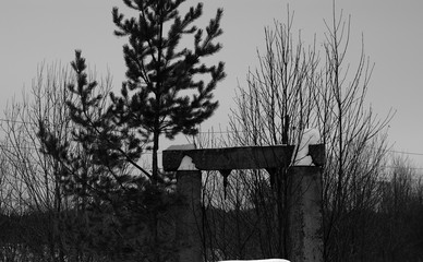 (C)Pantick        Pavel Burkov