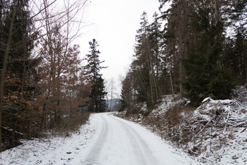 mountain road covered in snow trees forest winter