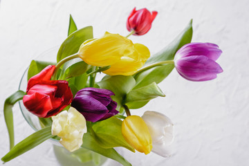 Bouquet of beautifull multicolored tulips in a glass vase on a white background for birthday or other celebrations