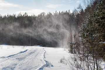 Obraz na płótnie Canvas snow storm in the winter forest