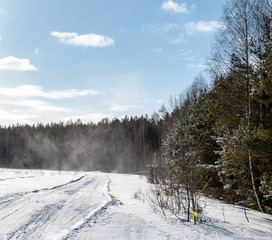 snow storm in the winter forest