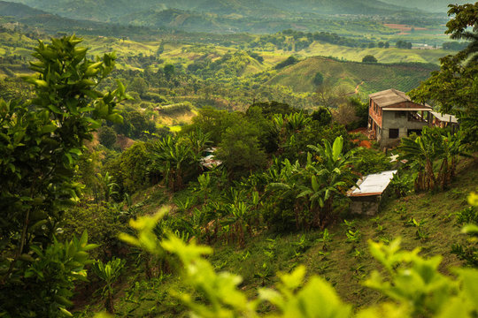 Quindio Colombia eja cafetera