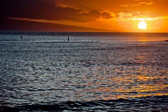 People paddleboarding on the sea at sunset.