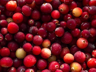 Cranberry. Cranberry background. Food background.