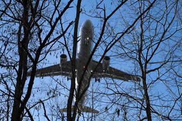 Flugzeug im Landeanflug über Waldgebiet - Stockfoto