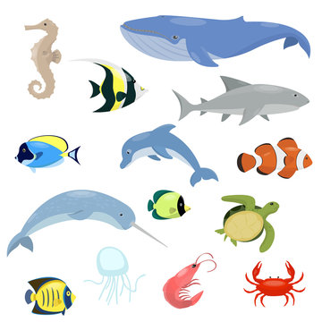 Sea animals set. Animal living in the ocean. Narwhal, whale, shark, shrimp, dolphin, etc. Isolated vector illustration