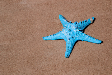 Flat lay blue starfish on the sand