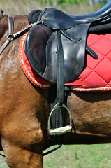 close up of a horse harness, side view, vertical composition