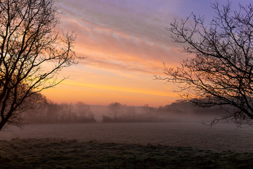 sunset over forest field