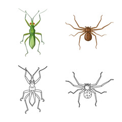 Isolated object of insect and fly symbol. Set of insect and element vector icon for stock.