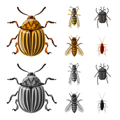 Vector illustration of insect and fly symbol. Set of insect and element vector icon for stock.