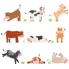 Funny cows of different colors. Cattle. Cow in various poses, stands, lies, frolics. Collection of isolated illustrations