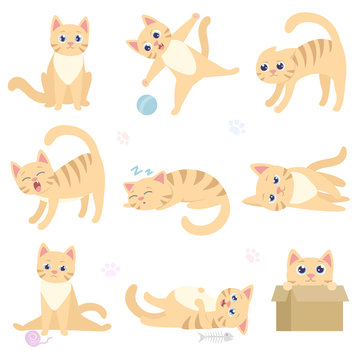 Cute funny cat in different situations. Playful domestic cat is sitting, playing with a ball, scares, sleeps, lies, sad, overeat, hiding in a box. Collection of isolated illustrations