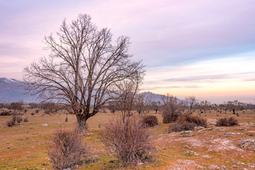 winter landscape of the sierra de guadarrama. madrid Spain