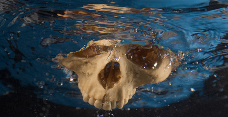 submerged skulls in blue sea