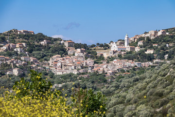 Fototapeta premium Corbara - Balagne - Corse