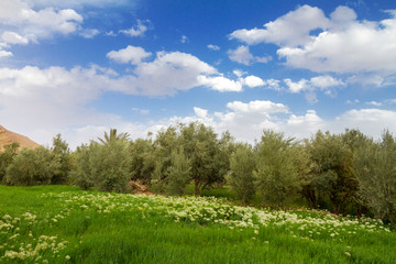 Obraz premium Ait-Ben-Haddou, Marocco