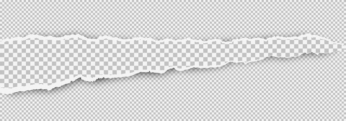 Torn squared white horizontal paper strip is on white background with space for text. Vector illustration