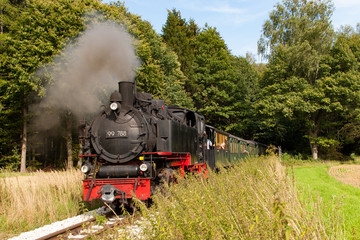 Fototapeta na wymiar Schmalspur Dampflokomotive während der Fahrt in freier Landschaft