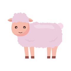 sheep farm animal