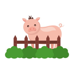 pig fence farm