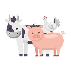 cow pig and chicken animals farm