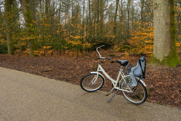 Fototapeta premium Singe white blue bike standing side view outside in the woods. Autum winter trees background.