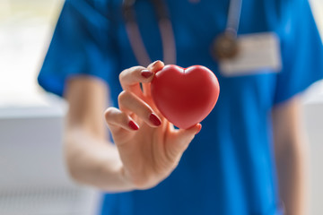 Female doctor is holding a heart in the hands. Heart is a life!