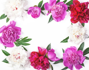 Floral frame made of pink and white peony flowers and leaves isolated on white background. Flat lay. Top view.