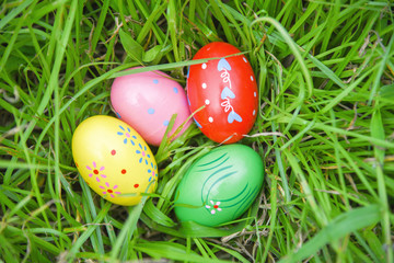 Easter eggs hunt on green grass meadow outdoor