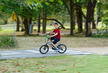 Asian boy riding bicycle in the park (motion blurred)