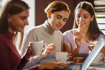 Two sweet friends communicate during lunch break in cozy cafe.