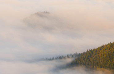 Fototapeta premium Forest in the clouds, autumn in mountains, Poland, Pieniny