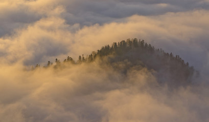 Clouds and forest hill, autumn sunrise, Switzerdland