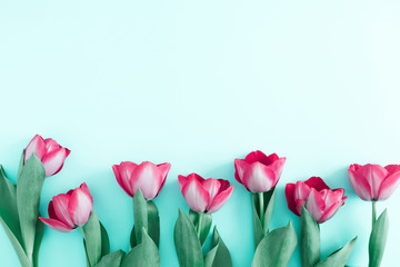 Flowers composition romantic. Pink tulip flowers on pale pastel mint background. Valentine's Day,...