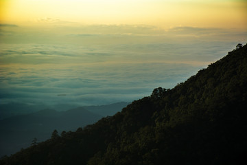 Fototapeta na wymiar misty morning sunrise in strawberry garden at doi angkhang mountain chiangmai in thailand 