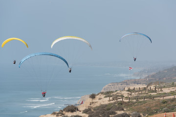 paragliding over the cliffs