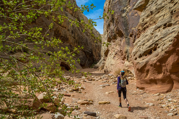 Running a Dry Creek Bed, Utah